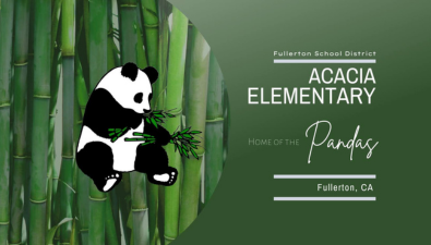  Weekly Update Header